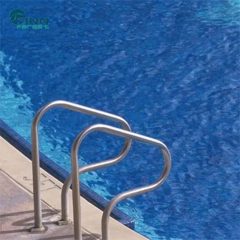 Corrimano di Sicurezza Rimovib - Swimming Pool Safety Handrail Stainless recensione e prezzo